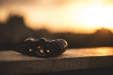 Insights of Wisdom
